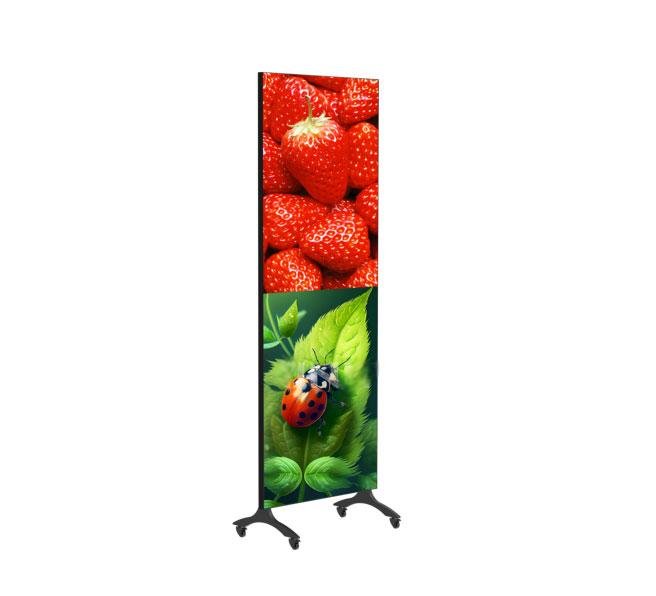 p750 poster led display (1)